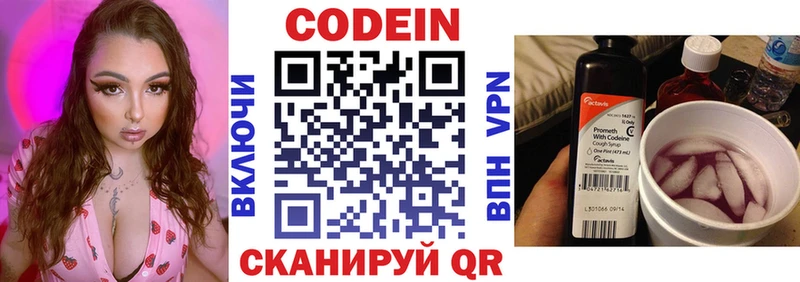 продажа наркотиков  Каменск-Уральский  гидра ССЫЛКА  Codein напиток Lean (лин) 