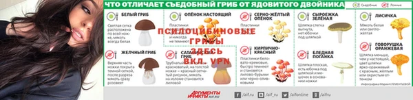эйфоретик Балабаново