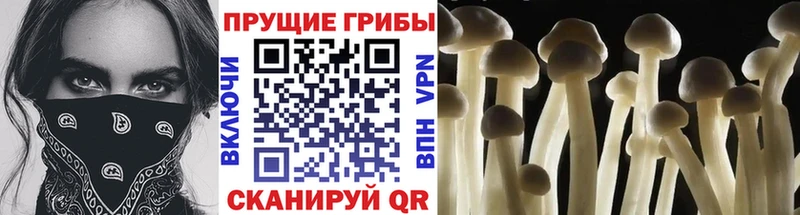 гидра маркетплейс  купить  сайты  Каменск-Уральский  Псилоцибиновые грибы мухоморы 